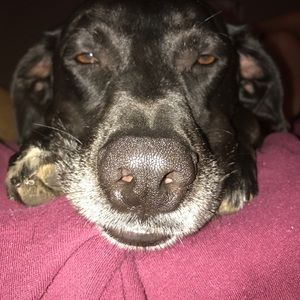 Meet your Posher, Maggie